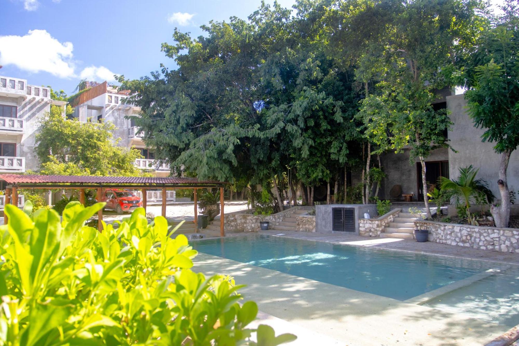 Hotel Casa Tortuga Tulum - Cenotes Park Inclusive Εξωτερικό φωτογραφία The swimming pool at the hotel