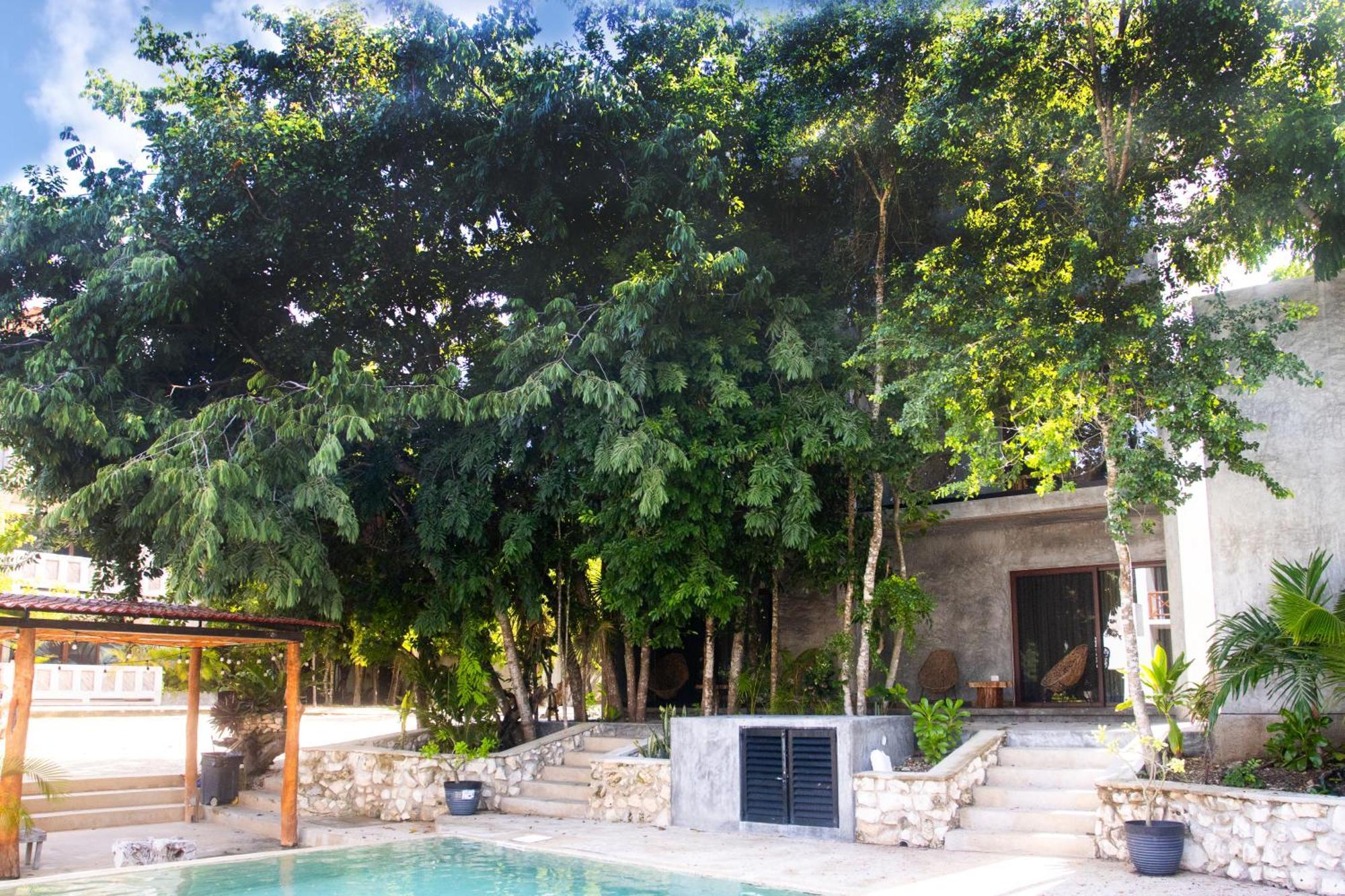 Hotel Casa Tortuga Tulum - Cenotes Park Inclusive Εξωτερικό φωτογραφία Casa Periódica, Mérida, Yucatán, Mexico